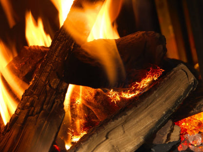 ACR Neo3P LPG Balanced Flue Stove